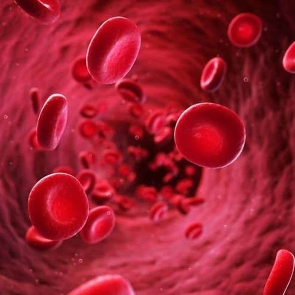 Anti-Inflammatory & Metabolic Support